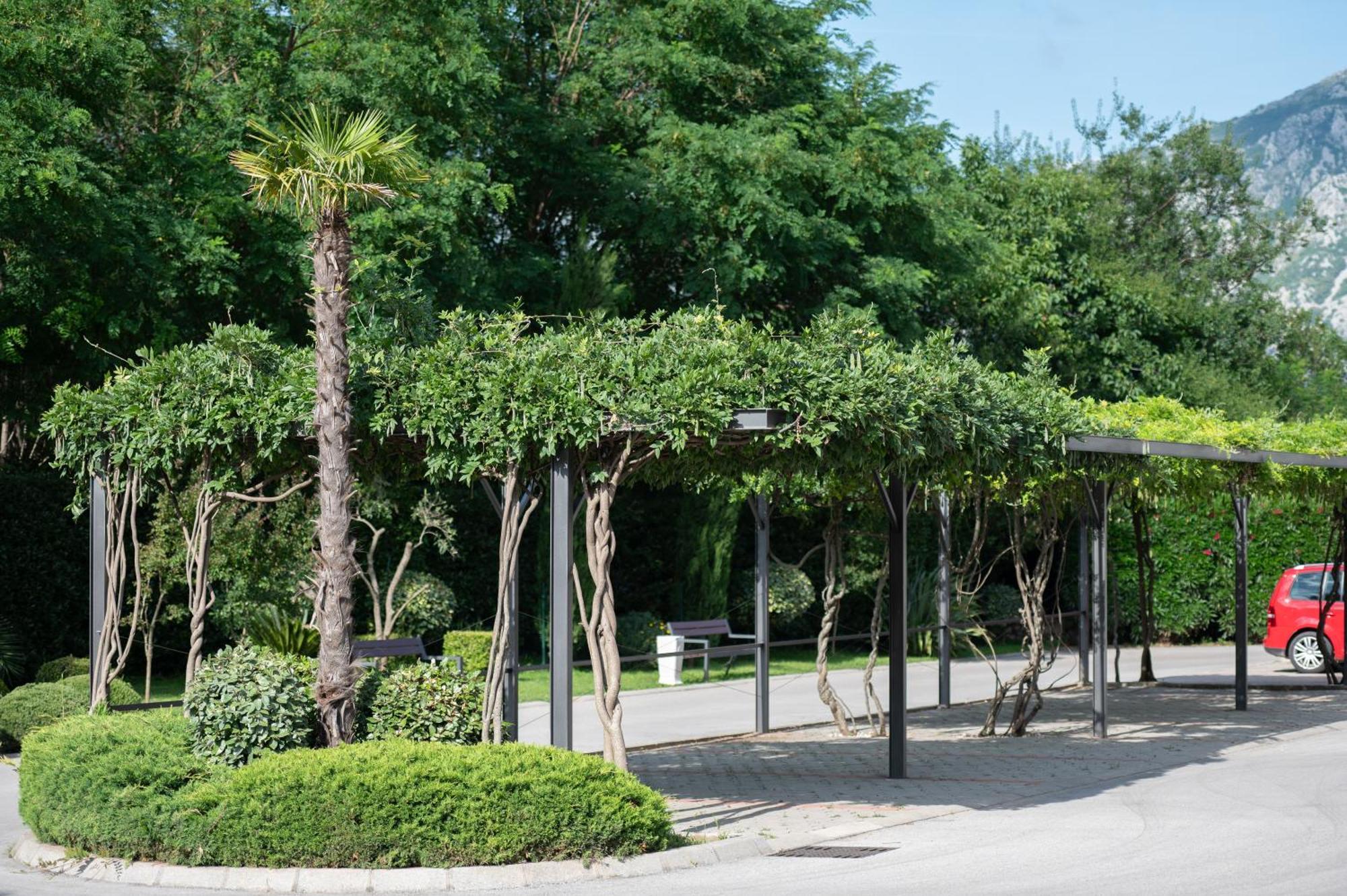 Green Bay Apartments Morinj Kotor Ngoại thất bức ảnh